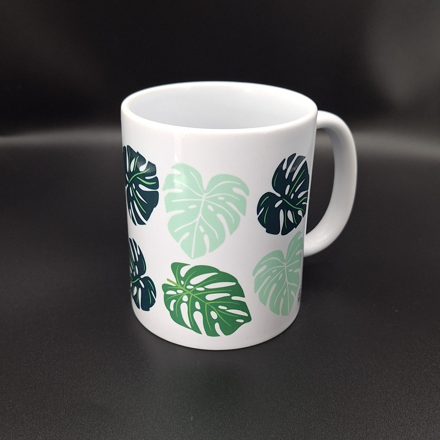 Monstera Leaves