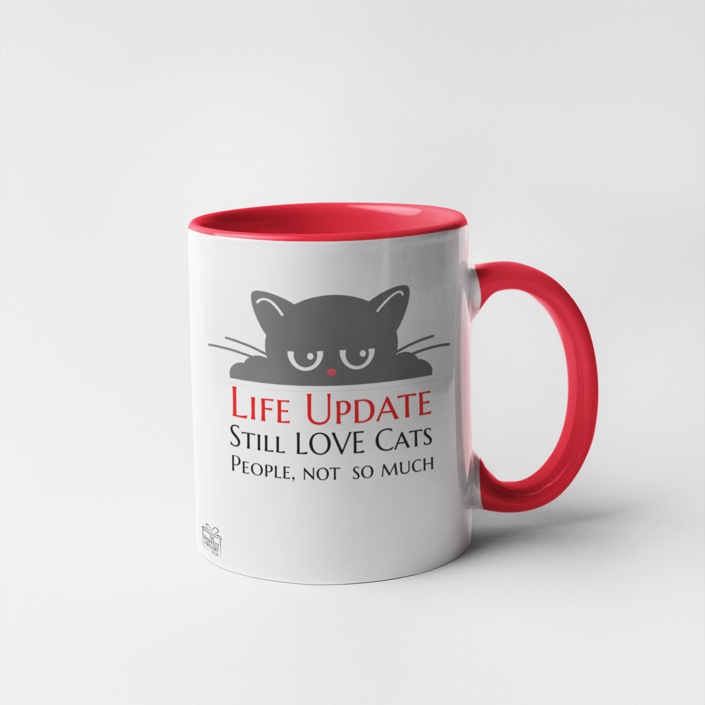 Life update. Still love cats
