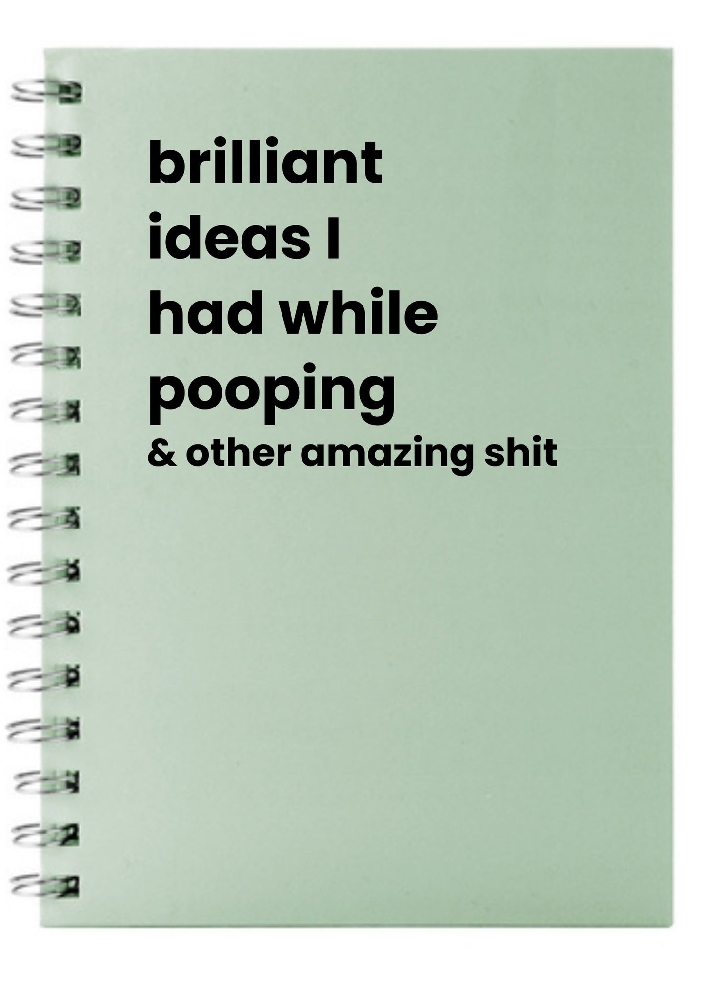 brilliant ideas I had while pooping A5 Notebook